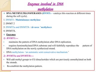 Enzymes involved in DNA
methylation
 DNA METHYLTRANSFERASES (DNMTs—catalzye this reaction at different times
during the cell cycle).
1. DNMT1- Maintainance methylase
2. DNMT 2
3. DNMT3a and DNMT3b -‘de novo ’ methylases
4. DNMT3L
 Enzymes
1) DNMT1:---
 maintains the pattern of DNA methylation after DNA replication.
 requires hemimethylated DNA substrate and will faithfully reproduce the pattern of
DNA methylation on the newly synthesized strand.
 DNA methylation- ‘an automatic semi conservative mechanism.’
2) DNMT3a and DNMT3b:---
 Will add methyl groups to CG dinucleotides which are previously unmethylated on both
the strands.
 Re-establish the methylation pattern.
 