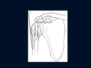 Comprehensive Overview of Force Systems and Biomechanics in Human ...
