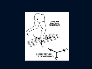 Comprehensive Overview of Force Systems and Biomechanics in Human ...