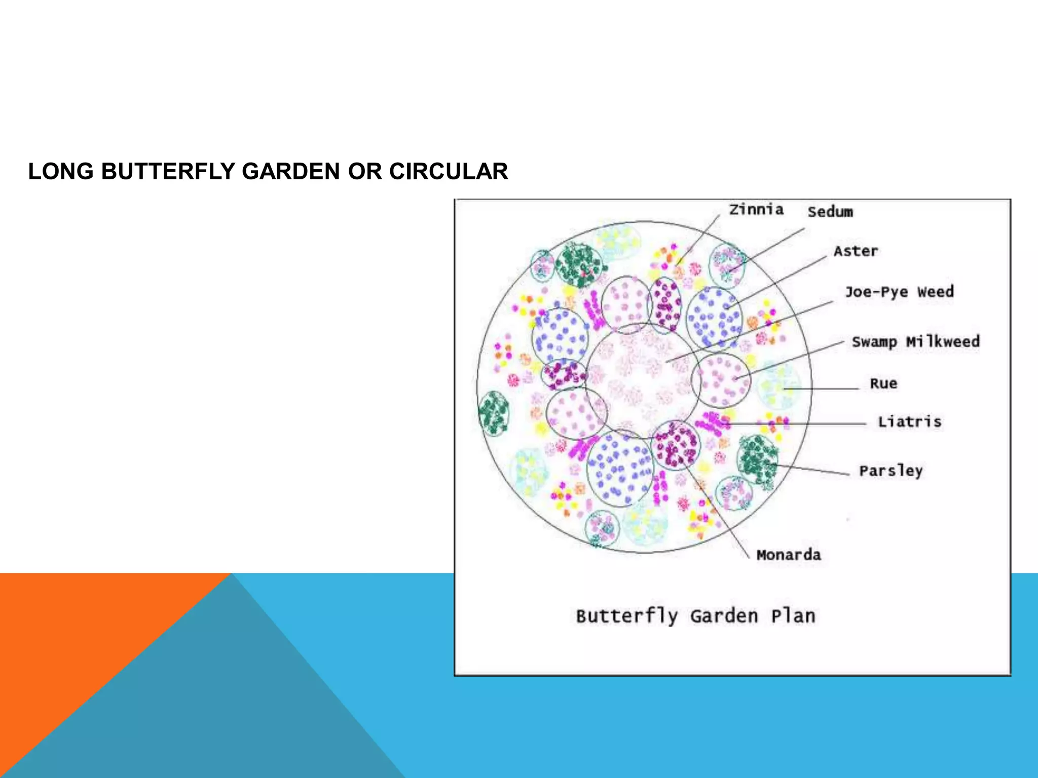 LONG BUTTERFLY GARDEN OR CIRCULAR
 
