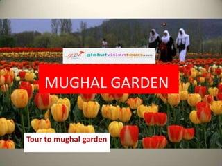 MUGHAL GARDEN

Tour to mughal garden

 