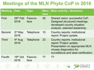 Meetings of the MLN Phyto CoP in 2016
10
Meeting Date Type Mem
bers
Main activity / decisions
First 29th Feb
2016
Face-to-
face
26 Shared vision; successful CoP;
Designed structured meetings;
developed country situation
analysis; selected leadership.
Second 3rd May
2016
Telephone 10 Country reports; institutional
report; Project update.
Third 4th Aug
2016
Telephone 23 Country reports; institutional
report; Project update;
Presentation on appropriate MLN
viruses diagnostics for
surveillance and seed certification.
Fourth 19th Oct
2016
Face-to-
face
?? ??
 