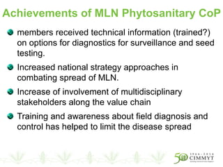 members received technical information (trained?)
on options for diagnostics for surveillance and seed
testing.
Increased national strategy approaches in
combating spread of MLN.
Increase of involvement of multidisciplinary
stakeholders along the value chain
Training and awareness about field diagnosis and
control has helped to limit the disease spread
Achievements of MLN Phytosanitary CoP
 