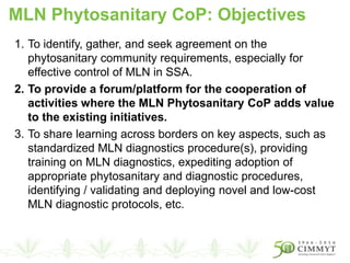 1. To identify, gather, and seek agreement on the
phytosanitary community requirements, especially for
effective control of MLN in SSA.
2. To provide a forum/platform for the cooperation of
activities where the MLN Phytosanitary CoP adds value
to the existing initiatives.
3. To share learning across borders on key aspects, such as
standardized MLN diagnostics procedure(s), providing
training on MLN diagnostics, expediting adoption of
appropriate phytosanitary and diagnostic procedures,
identifying / validating and deploying novel and low-cost
MLN diagnostic protocols, etc.
MLN Phytosanitary CoP: Objectives
 