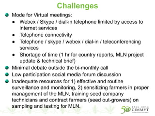 Mode for Virtual meetings:
● Webex / Skype / dial-in telephone limited by access to
internet services
● Telephone connectivity
● Telephone / skype / webex / dial-in / teleconferencing
services
● Shortage of time (1 hr for country reports, MLN project
update & technical brief)
Minimal debate outside the bi-monthly call
Low participation social media forum discussion
Inadequate resources for 1) effective and routine
surveillance and monitoring, 2) sensitizing farmers in proper
management of the MLN, training seed company
technicians and contract farmers (seed out-growers) on
sampling and testing for MLN.
Challenges
 