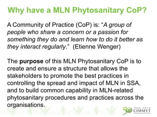 A Community of Practice (CoP) is: “A group of
people who share a concern or a passion for
something they do and learn how to do it better as
they interact regularly.” (Etienne Wenger)
The purpose of this MLN Phytosanitary CoP is to
create and ensure a structure that allows the
stakeholders to promote the best practices in
controlling the spread and impact of MLN in SSA,
and to build common capability in MLN-related
phytosanitary procedures and practices across the
organisations.
Why have a MLN Phytosanitary CoP?
 