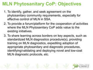1. To identify, gather, and seek agreement on the
phytosanitary community requirements, especially for
effective control of MLN in SSA.
2. To provide a forum/platform for the cooperation of activities
where the MLN Phytosanitary CoP adds value to the
existing initiatives.
3. To share learning across borders on key aspects, such as
standardized MLN diagnostics procedure(s), providing
training on MLN diagnostics, expediting adoption of
appropriate phytosanitary and diagnostic procedures,
identifying/validating and deploying novel and low-cost
MLN diagnostic protocols, etc.
MLN Phytosanitary CoP: Objectives
 