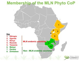 1
3
2
4
5
6
7
8
Key
1. Ethiopia
2. Uganda
3. Kenya
4. Rwanda
5. Tanzania
6. Malawi
7. Zambia
8. Zimbabwe
MLN endemic countries
Non - MLN endemic countries
Membership of the MLN Phyto CoP
 