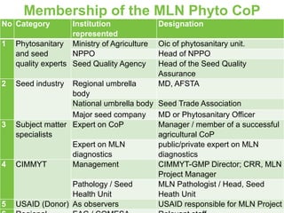 Membership of the MLN Phyto CoP
6
No Category Institution
represented
Designation
1 Phytosanitary
and seed
quality experts
Ministry of Agriculture Oic of phytosanitary unit.
NPPO Head of NPPO
Seed Quality Agency Head of the Seed Quality
Assurance
2 Seed industry Regional umbrella
body
MD, AFSTA
National umbrella body Seed Trade Association
Major seed company MD or Phytosanitary Officer
3 Subject matter
specialists
Expert on CoP Manager / member of a successful
agricultural CoP
Expert on MLN
diagnostics
public/private expert on MLN
diagnostics
4 CIMMYT Management CIMMYT-GMP Director; CRR, MLN
Project Manager
Pathology / Seed
Health Unit
MLN Pathologist / Head, Seed
Heath Unit
5 USAID (Donor) As observers USAID responsible for MLN Project
 