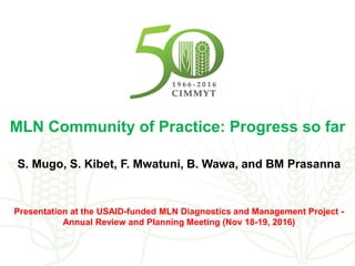 MLN Community of Practice: Progress so far
S. Mugo, S. Kibet, F. Mwatuni, B. Wawa, and BM Prasanna
Presentation at the USAID-funded MLN Diagnostics and Management Project -
Annual Review and Planning Meeting (Nov 18-19, 2016)
 