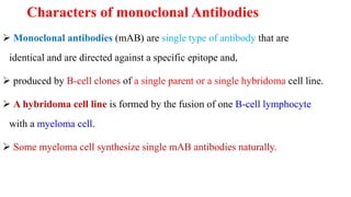 Characters of monoclonal Antibodies
 Monoclonal antibodies (mAB) are single type of antibody that are
identical and are directed against a specific epitope and,
 produced by B-cell clones of a single parent or a single hybridoma cell line.
 A hybridoma cell line is formed by the fusion of one B-cell lymphocyte
with a myeloma cell.
 Some myeloma cell synthesize single mAB antibodies naturally.
 