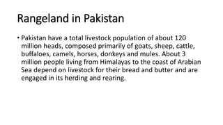 Rangeland in Pakistan
• Pakistan have a total livestock population of about 120
million heads, composed primarily of goats, sheep, cattle,
buffaloes, camels, horses, donkeys and mules. About 3
million people living from Himalayas to the coast of Arabian
Sea depend on livestock for their bread and butter and are
engaged in its herding and rearing.
 
