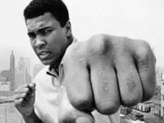 Stinging Like a 
Butterfly 
THE LIFE AND TIMES OF MUHAMMAD ALI 
 