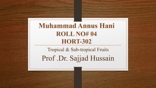 Muhammad Annus Hani
ROLL NO# 04
HORT-302
Tropical & Sub-tropical Fruits
Prof .Dr. Sajjad Hussain
 