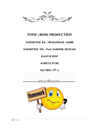 1 | P a g e
TOPIC:-ROSE PRODUCTION
SUBMITTED BY: -MUHAMMAD ASHIR
SUBMITTED TO: - Prof. ZAHOOR HUSSAIN
BAGF18 M102
AGRICULTURE
SECTION 4TH A
 