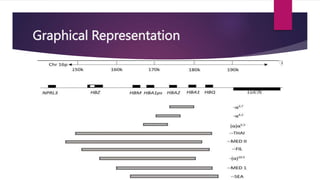 Graphical Representation
 