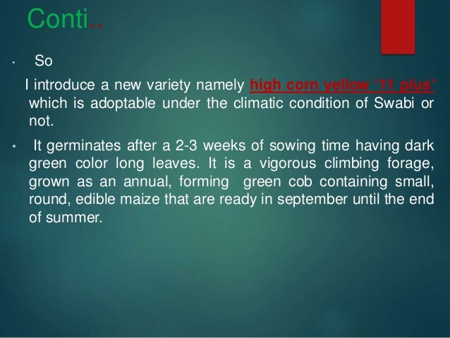 Maize research topics picture