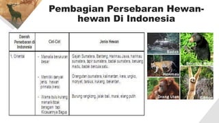 Pembagian Persebaran Hewan-
hewan Di Indonesia
 
