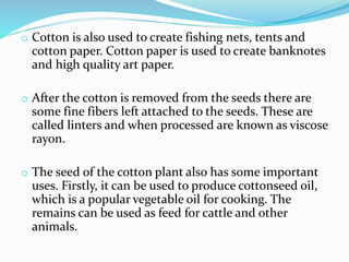 o Cotton is also used to create fishing nets, tents and
cotton paper. Cotton paper is used to create banknotes
and high quality art paper.
o After the cotton is removed from the seeds there are
some fine fibers left attached to the seeds. These are
called linters and when processed are known as viscose
rayon.
o The seed of the cotton plant also has some important
uses. Firstly, it can be used to produce cottonseed oil,
which is a popular vegetable oil for cooking. The
remains can be used as feed for cattle and other
animals.
 