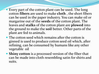 Every part of the cotton plant can be used. The long
cotton fibers are used to make cloth , the short fibers
can be used in the paper industry. You can make oil or
margarine out of the seeds of the cotton plant. The
leaves and stalks of the cotton plant are plowed into
the ground to make the soil better. Other parts of the
plant are fed to animals.
 The cotton seed which remains after the cotton is
ginned is used to produce cotton seed oil which, after
refining, can be consumed by humans like any other
vegetable oil
 Shiny cotton is a processed version of the fiber that
can be made into cloth resembling satin for shirts and
suits.
 
