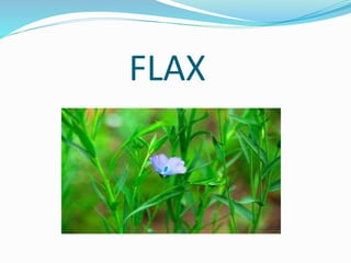 FLAX
 