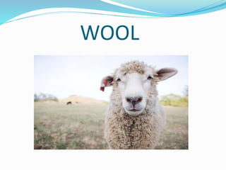 WOOL
 
