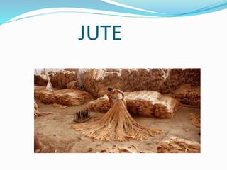 JUTE
 