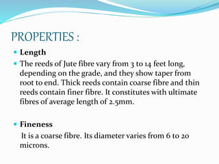 PROPERTIES :
 Length
 The reeds of Jute fibre vary from 3 to 14 feet long,
depending on the grade, and they show taper from
root to end. Thick reeds contain coarse fibre and thin
reeds contain finer fibre. It constitutes with ultimate
fibres of average length of 2.5mm.
 Fineness
It is a coarse fibre. Its diameter varies from 6 to 20
microns.
 