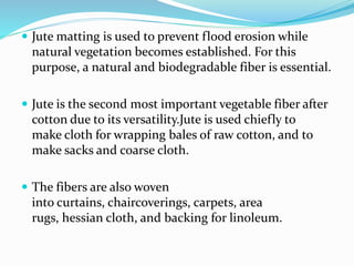  Jute matting is used to prevent flood erosion while
natural vegetation becomes established. For this
purpose, a natural and biodegradable fiber is essential.
 Jute is the second most important vegetable fiber after
cotton due to its versatility.Jute is used chiefly to
make cloth for wrapping bales of raw cotton, and to
make sacks and coarse cloth.
 The fibers are also woven
into curtains, chaircoverings, carpets, area
rugs, hessian cloth, and backing for linoleum.
 