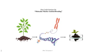Molecular Marker Assisted Breeding in Plants | PPTX