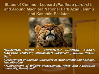 Status of Common Leopard (Panthera pardus) in
and Around Machiara National Park Azad Jammu
and Kashmir, Pakistan
MUHAMMAD KABIR *, MUHAMMAD SIDDIQUE AWAN*,
MAQSOOD ANWAR**, MUHAMMAD WASEEM** , Naeem Iftikhar
Dar**
*Department of Zoology, University of Azad Jammu and Kashmir,
Muzaffarabad.
**Department of Wildlife Management, PMAS Arid Agriculture
university, Rawalpindi.
 