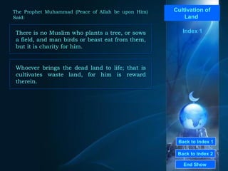 Back to Index 1 Back to Index 2 Cultivation of Land  There is no Muslim who plants a tree, or sows a field, and man birds or beast eat from them, but it is charity for him.  End Show  The Prophet Muhammad (Peace of Allah be upon Him) Said: Index 1 Whoever brings the dead land to life; that is cultivates waste land, for him is reward therein.  