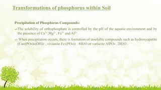 Transformations of phosphorus within Soil
Precipitation of Phosphorus Compounds:
The solubility of orthophosphate is controlled by the pH of the aquatic environment and by
the presence of Ca2+,Mg2+, Fe3+ and Al3+.
 When precipitation occurs, there is formation of insoluble compounds such as hydroxyapatite
(Cal0(PO4)6(OH)2 , vivianite Fe3(PO4)2 . 8H2O or variscite AlPO4 . 2H2O .
 