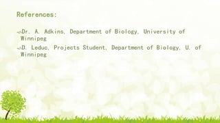 References:
Dr. A. Adkins, Department of Biology, University of
Winnipeg
D. Leduc, Projects Student, Department of Biology, U. of
Winnipeg
 
