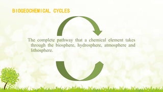 BIOGEOCHEMICAL CYCLES
The complete pathway that a chemical element takes
through the biosphere, hydrosphere, atmosphere and
lithosphere.
 