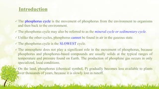Introduction
 The phosphorus cycle is the movement of phosphorus from the environment to organisms
and then back to the environment.
 The phosphorus cycle may also be referred to as the mineral cycle or sedimentary cycle.
 Unlike the other cycles, phosphorus cannot be found in air in the gaseous state.
 The phosphorus cycle is the SLOWEST cycle.
 The atmosphere does not play a significant role in the movement of phosphorus, because
phosphorus and phosphorus-based compounds are usually solids at the typical ranges of
temperature and pressure found on Earth. The production of phosphine gas occurs in only
specialized, local conditions.
 On the land, phosphorus (chemical symbol, P) gradually becomes less available to plants
over thousands of years, because it is slowly lost in runoff.
 