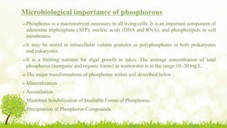 Microbiological importance of phosphorous
Phosphorus is a macronutrient necessary to all living cells. It is an important component of
adenosine triphosphate (ATP), nucleic acids (DNA and RNA), and phospholipids in cell
membranes.
It may be stored in intracellular volutin granules as polyphosphates in both prokaryotes
and eukaryotes.
It is a limiting nutrient for algal growth in lakes. The average concentration of total
phosphorus (inorganic and organic forms) in wastewater is in the range 10–20 mg/L.
The major transformations of phosphorus within soil described below :
 Mineralization
 Assimilation.
 Microbial Solubilization of Insoluble Forms of Phosphorus.
 Precipitation of Phosphorus Compounds.
 