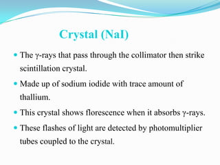 Crystal (NaI)
 The γ-rays that pass through the collimator then strike
 scintillation crystal.
 Made up of sodium iodide with trace amount of
 thallium.
 This crystal shows florescence when it absorbs γ-rays.
 These flashes of light are detected by photomultiplier
 tubes coupled to the crystal.
 