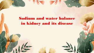 Sodium and water balance
in kidney and its disease
 