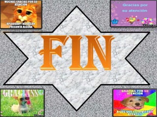 MUHAMMAD YUNUS & GRAMEEN BANK