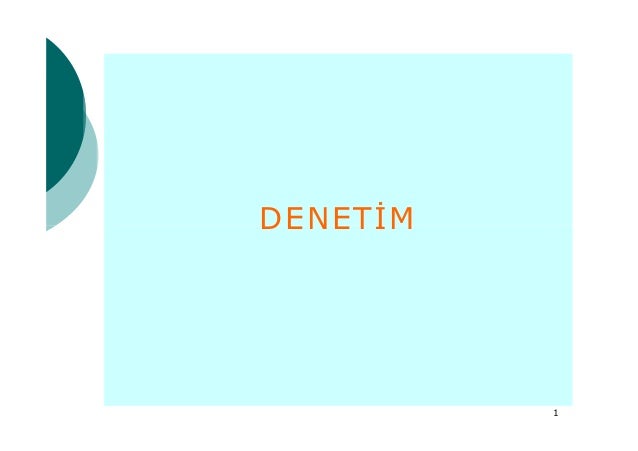 Muhasebe Denetimi