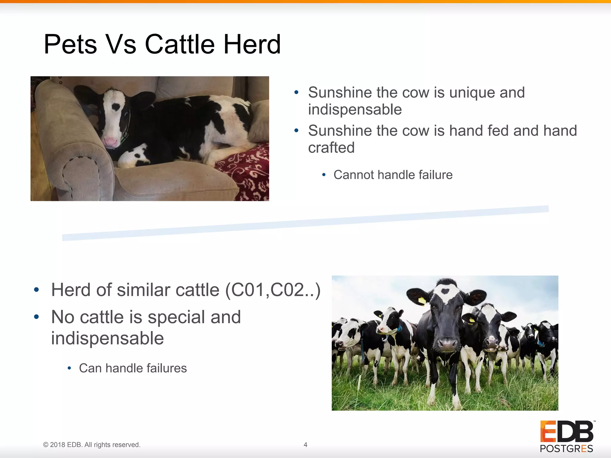 © 2018 EDB. All rights reserved. 4
• Sunshine the cow is unique and
indispensable
• Sunshine the cow is hand fed and hand
crafted
Pets Vs Cattle Herd
• Cannot handle failure
• Herd of similar cattle (C01,C02..)
• No cattle is special and
indispensable
• Can handle failures
 