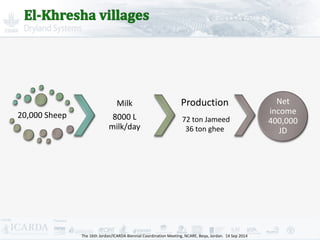 Improving livestock production  in Jordan 