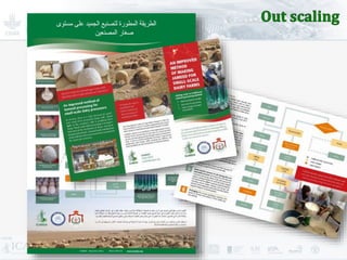 Improving livestock production  in Jordan 