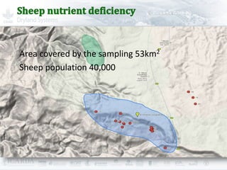 Improving livestock production  in Jordan 