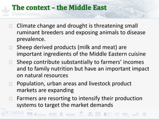 Improving livestock production  in Jordan 