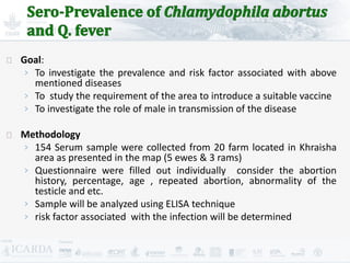 Improving livestock production  in Jordan 
