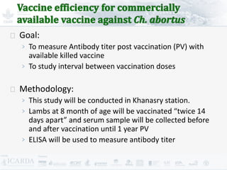 Improving livestock production  in Jordan 