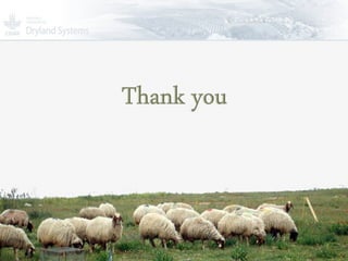 Improving livestock production  in Jordan 