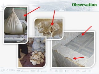 Improving livestock production  in Jordan 